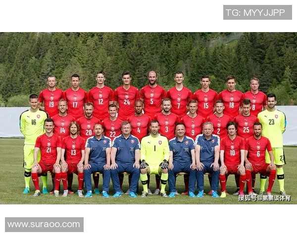 捷克对阵圣马力诺比赛结果分析及精彩瞬间回顾